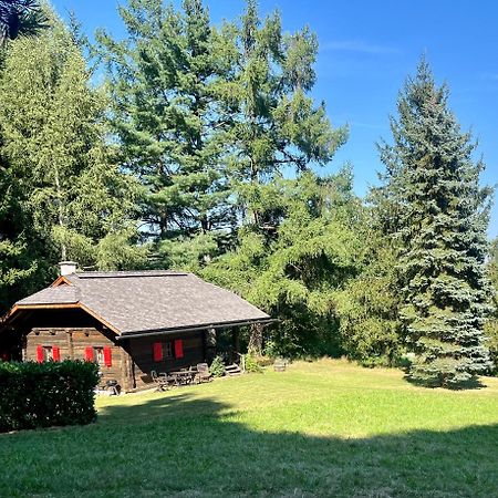 Cozy Log Cabin Near Faaker See Леденицен Экстерьер фото